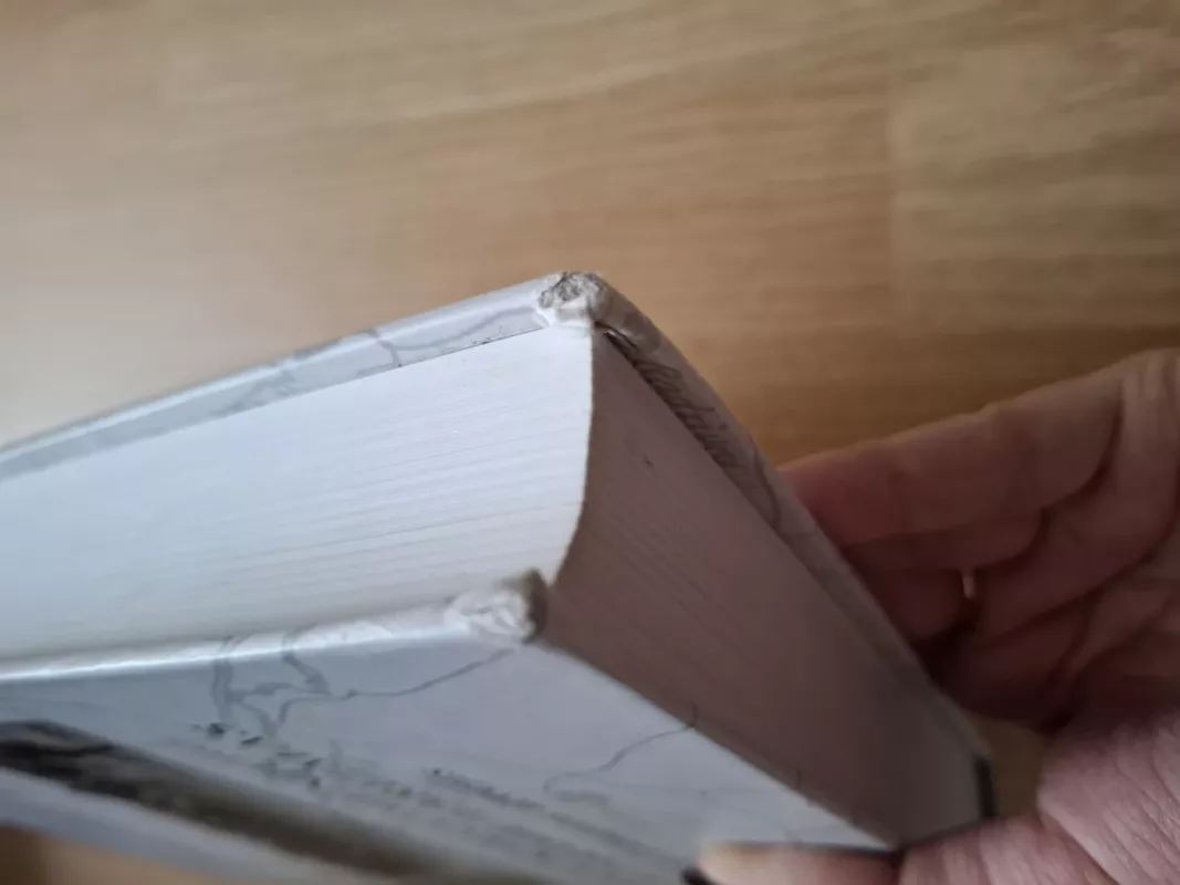 Mažųjų kariuomenių galia ir paramilitarizmas. Tarpukario Lietuvos atvejis - Vytautas Jokubauskas, knyga 3