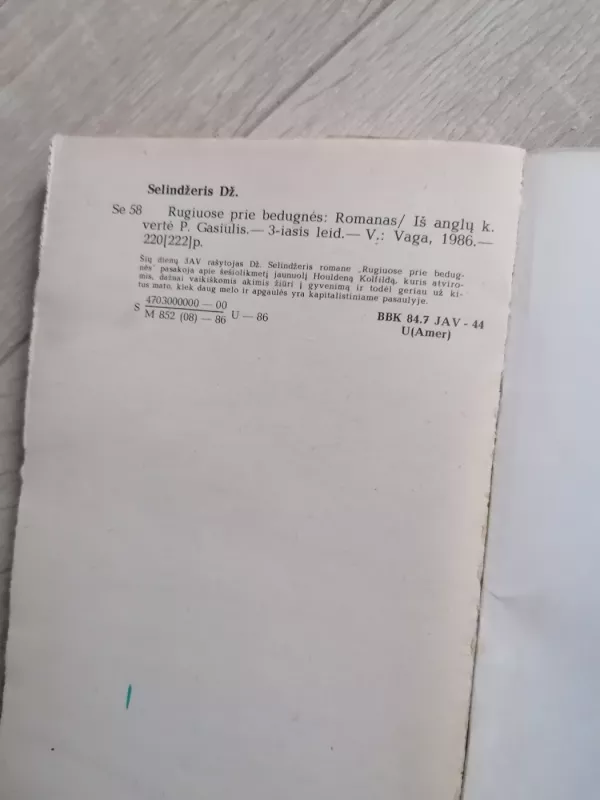 Rugiuose prie bedugnės - Džeromas Selindžeris, knyga 5