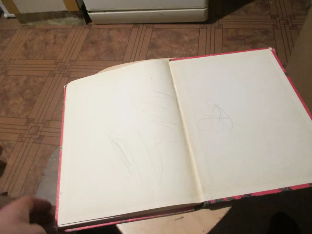 Pasaka apie Miško karalių ir Pionierių karalystę - Sergejus Baruzdinas, knyga 6