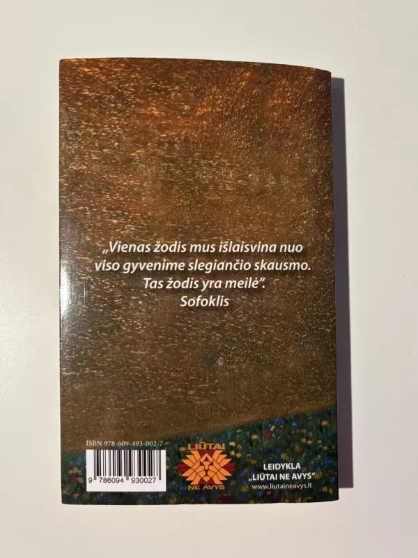 Menas mylėti - Erich Fromm, knyga 3