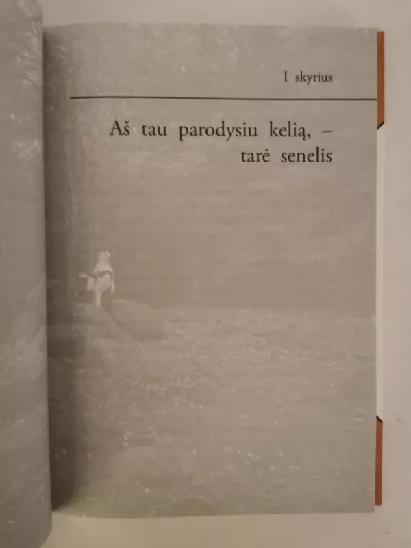 Lietuvių išminties knyga - Jonas Trinkūnas, knyga 4