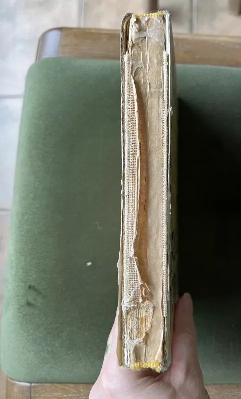 Danuko Dunduliuko nuotykiai - Vytautas Misevičius, knyga 2