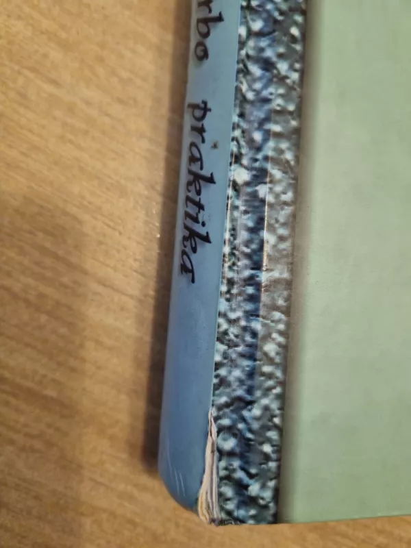 Socialinio darbo praktika - Autorių Kolektyvas, knyga 4