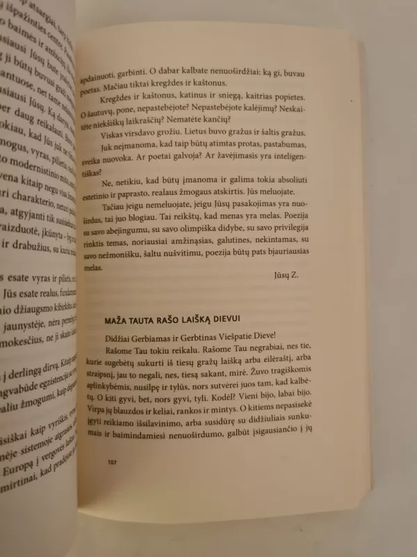 Du miestai - Adam Zagajewski, knyga 5