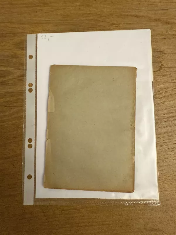 Marikė - Bronius Laucevičius-Vargšas, knyga 5