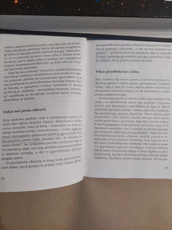 NORIU GALIU PASIEKSIU - Peter Kummer, knyga 4