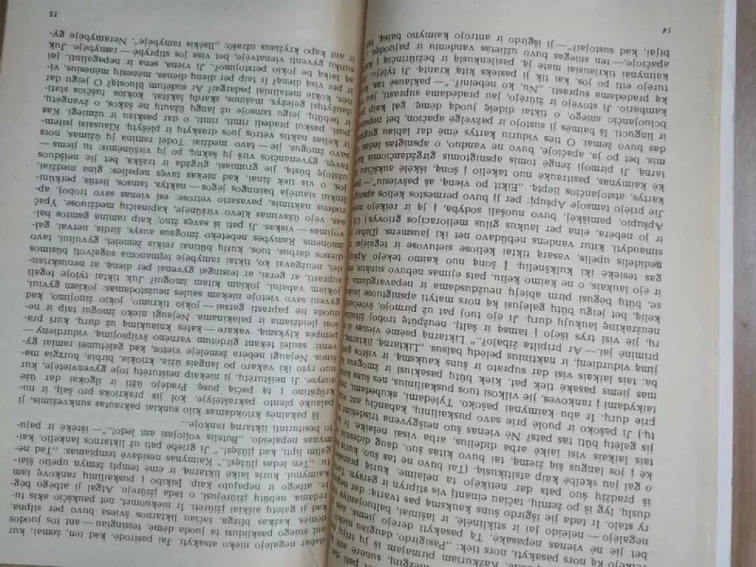 Gyvenimas po klevu - Romualdas Granauskas, knyga 5