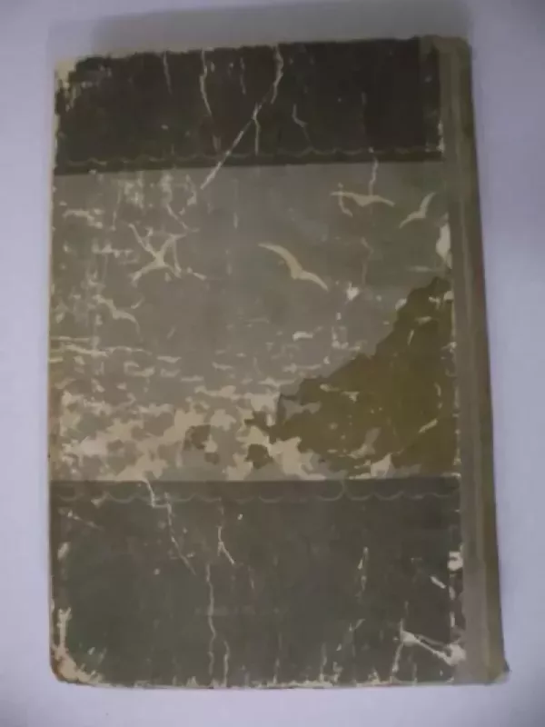 Lobių sala - R. L. Stivensonas, knyga 5