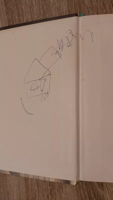 Konsuela (2 dalys) - Žorž Sand, knyga 4