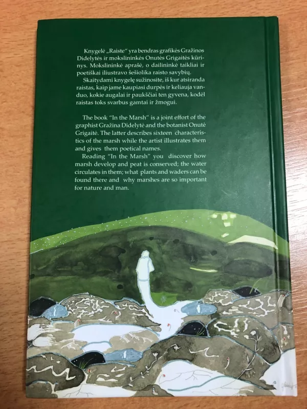 Raiste - G. Didelytė, knyga 4