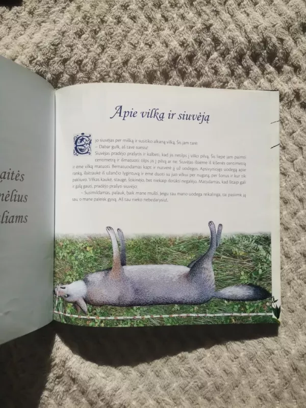 Miegalių pasakos - Jūratė Šlekonytė, knyga 4