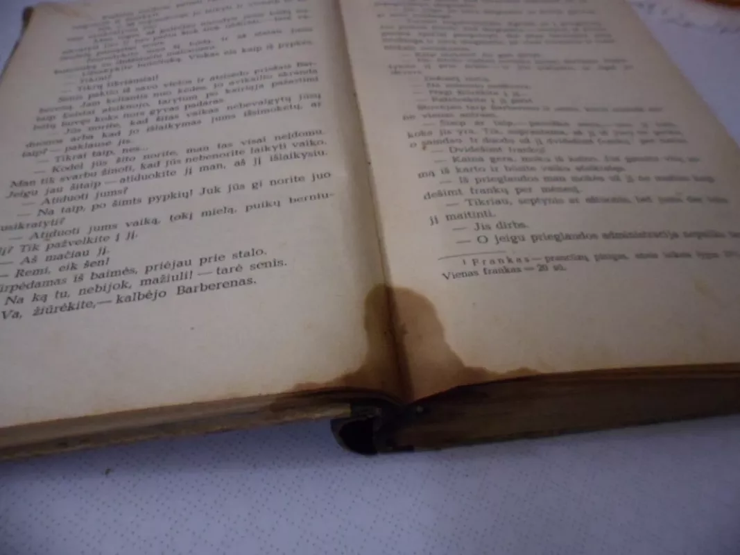 Be šeimos - Hektoras Malo, knyga 6