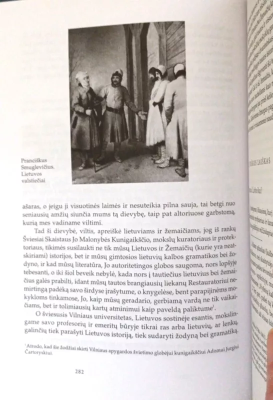 Lietuvių literatūros skaitiniai, aukštesniųjų klasių mokiniams - Autorių kolekyvas, knyga 5