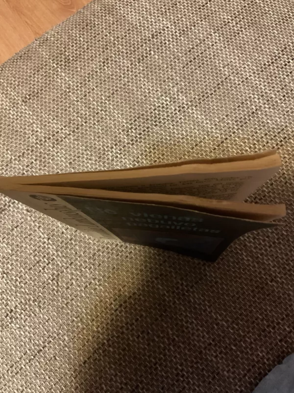 Jauno žmogaus memuarai - Ričardas Gavelis, knyga 3