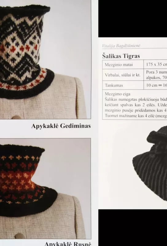 Apykaklių, šalikų, skarų mezgimas virbalais - Vitalija Bagdžiūnienė, knyga 4