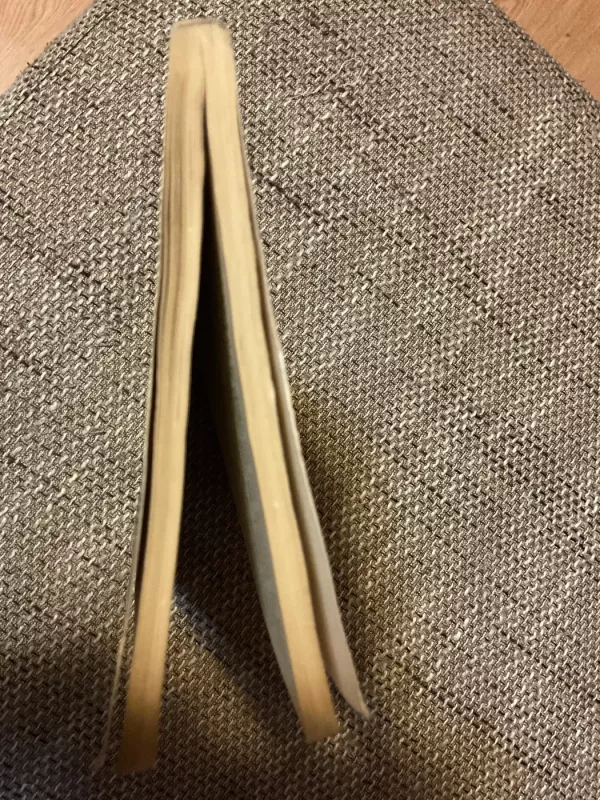 Po mūsų nebebus mūsų - Vidmantė Jasukaitytė, knyga 3