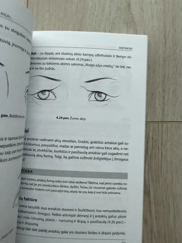 Ką slepia veidas - Teodor Švarc, knyga 3