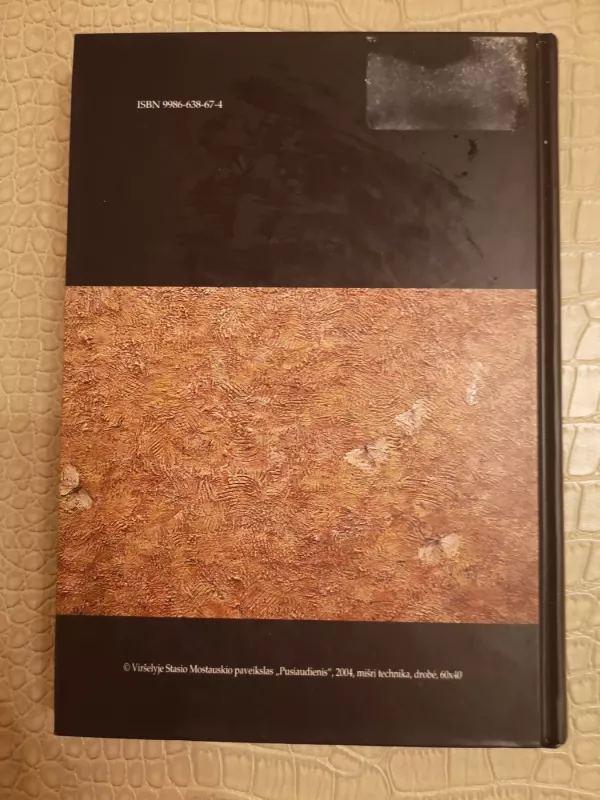 Pierre'as Bourdieu ir socialiniai meno žaidimai - Autorių Kolektyvas, knyga 3