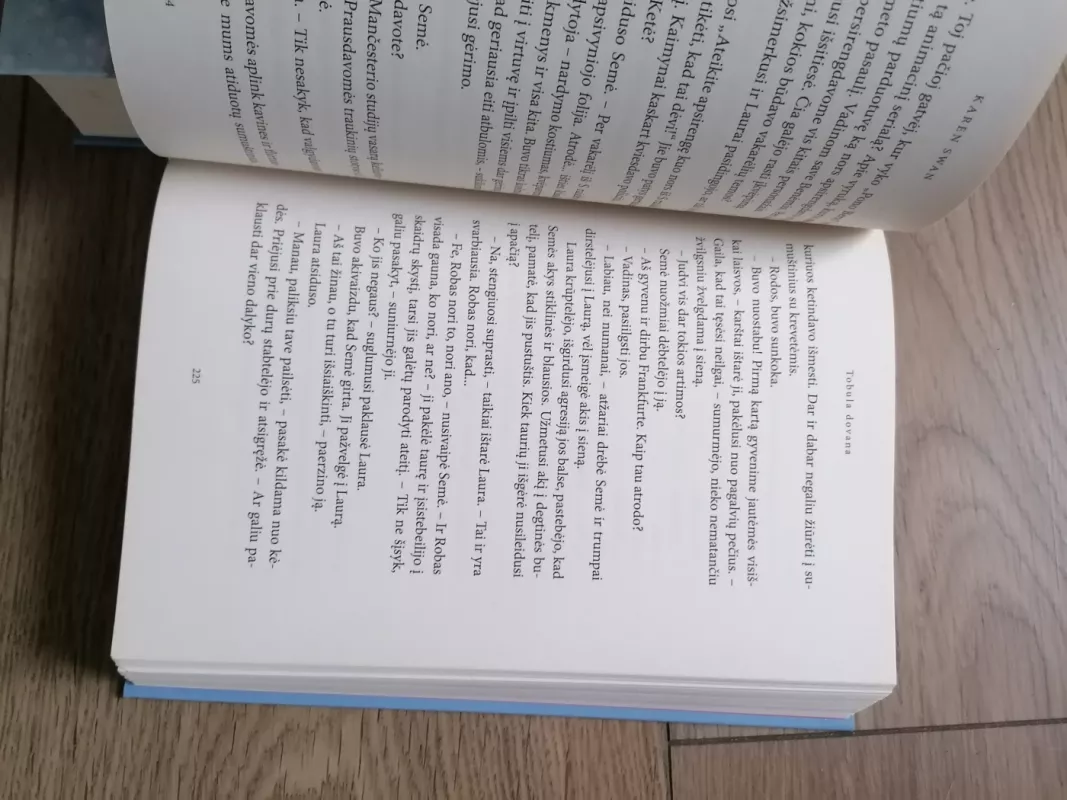 Kalėdų dovana - Karen Swan, knyga 5