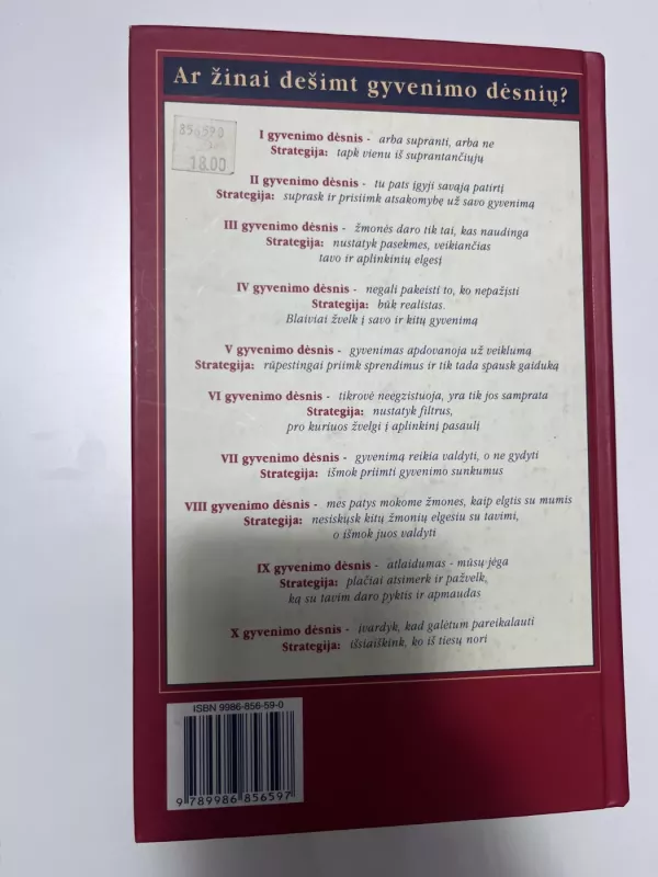 Gyvenimo strategija. Darykite kas sekasi, darykite kas svarbu. - Phillip C. McGraw, knyga 3