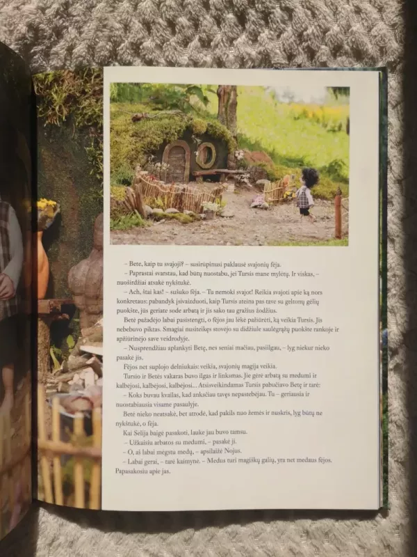 Miglų slėnio Fėjų pasakos - Edita Lei, knyga 5