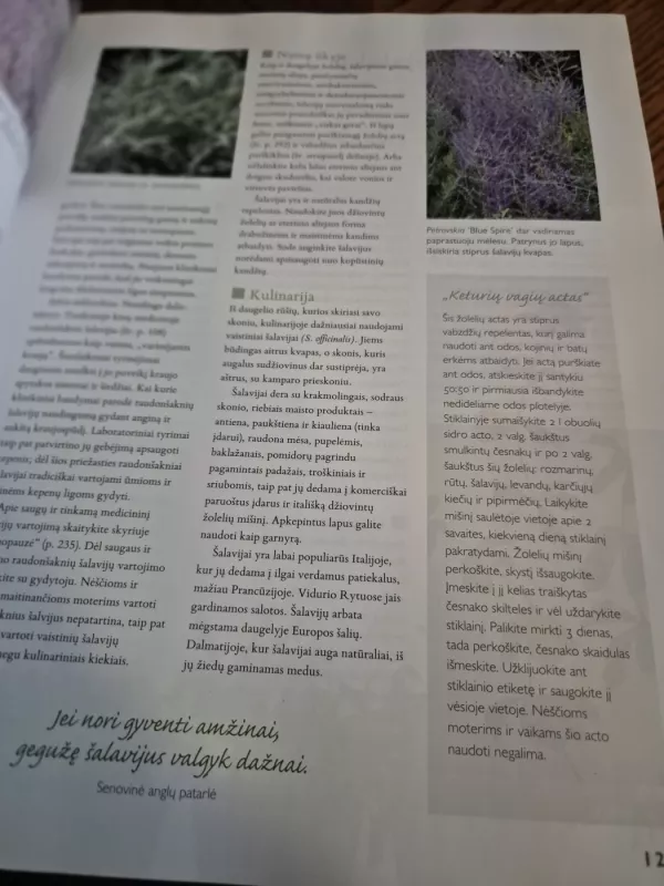 Didžioji žolelių knyga. Sodininkystė. Medicina. Grožis. Buitis. Menas. Kulinarija - Autorių Kolektyvas, knyga 3