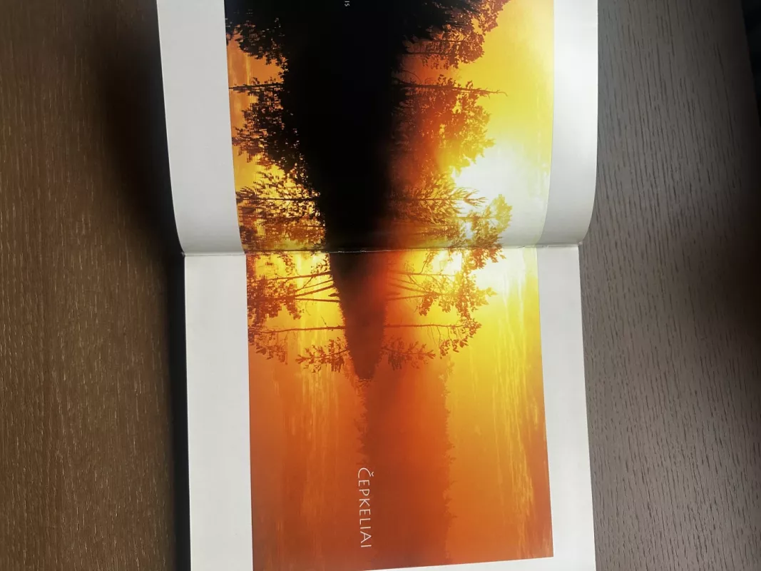 Čepkeliai - Eugenijus Drobelis, knyga 4