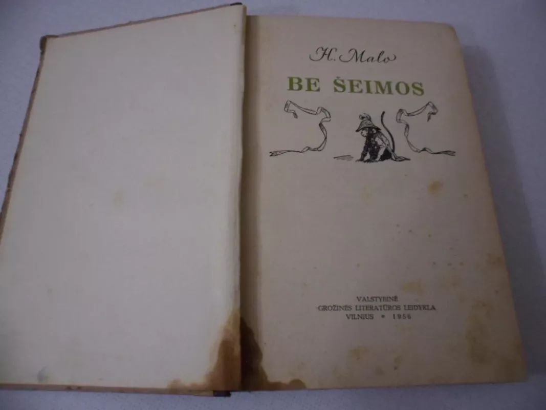 Be šeimos - Hektoras Malo, knyga 3