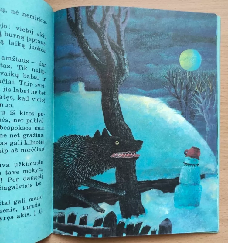 Sniego senis - Hansas Kristianas Andersenas, knyga 3