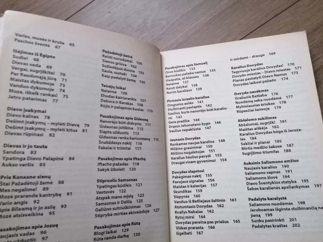 Didžioji Vaikų Biblija I tomas - Autorių Kolektyvas, knyga 6