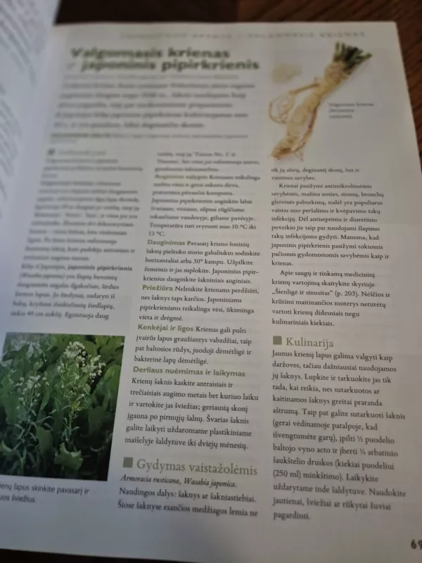 Didžioji žolelių knyga. Sodininkystė. Medicina. Grožis. Buitis. Menas. Kulinarija - Autorių Kolektyvas, knyga 4