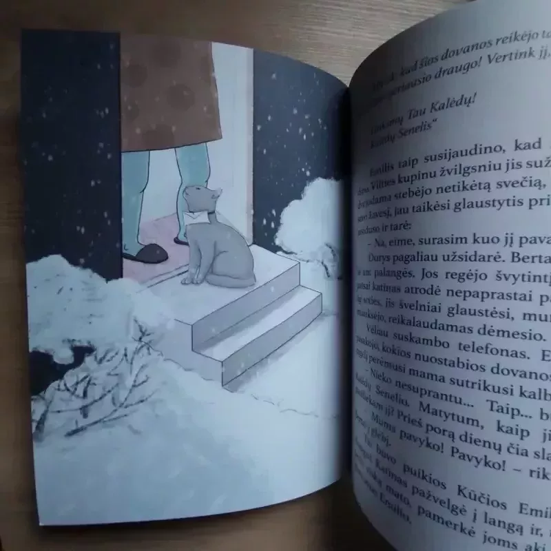 Emilio laiškas - Zarambaitė I., knyga 6