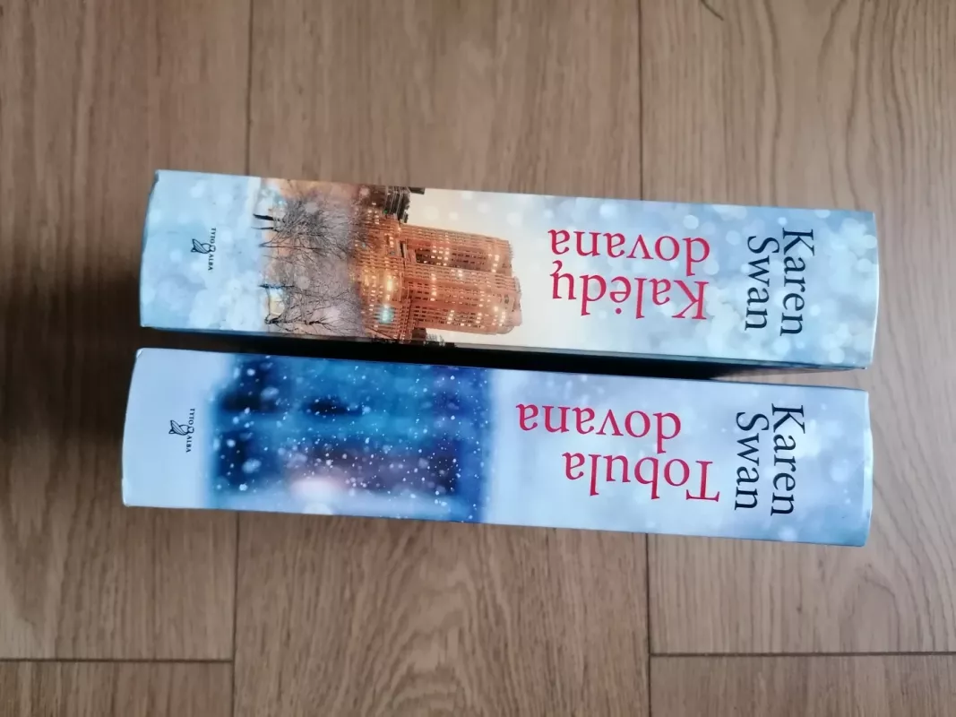 Kalėdų dovana - Karen Swan, knyga 3