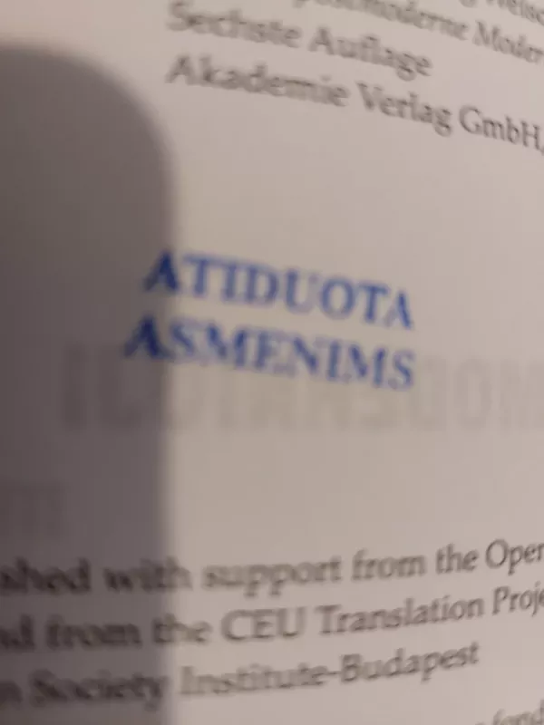 Mūsų postmodernioji modernybė - Wolfgang Welsch, knyga 2