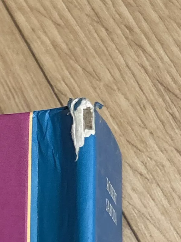 alisa stebuklu salyje - Robertas Sabuda, knyga 4