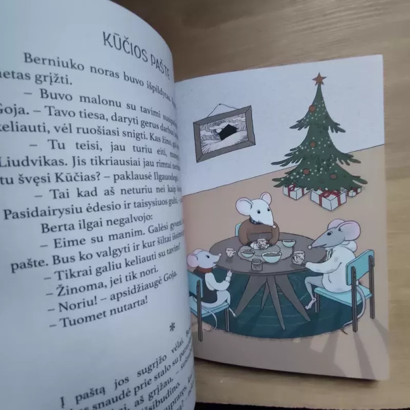 Emilio laiškas - Zarambaitė I., knyga 3