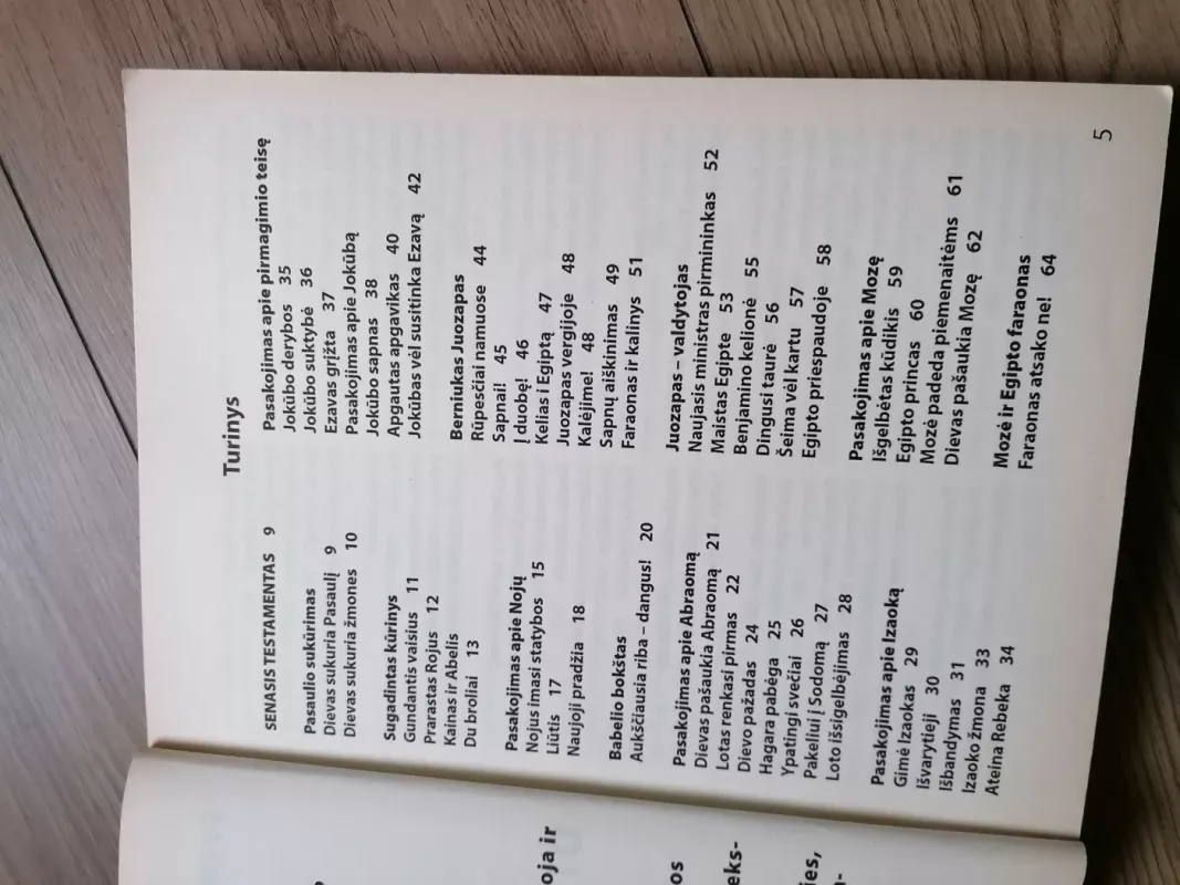 Didžioji Vaikų Biblija I tomas - Autorių Kolektyvas, knyga 5