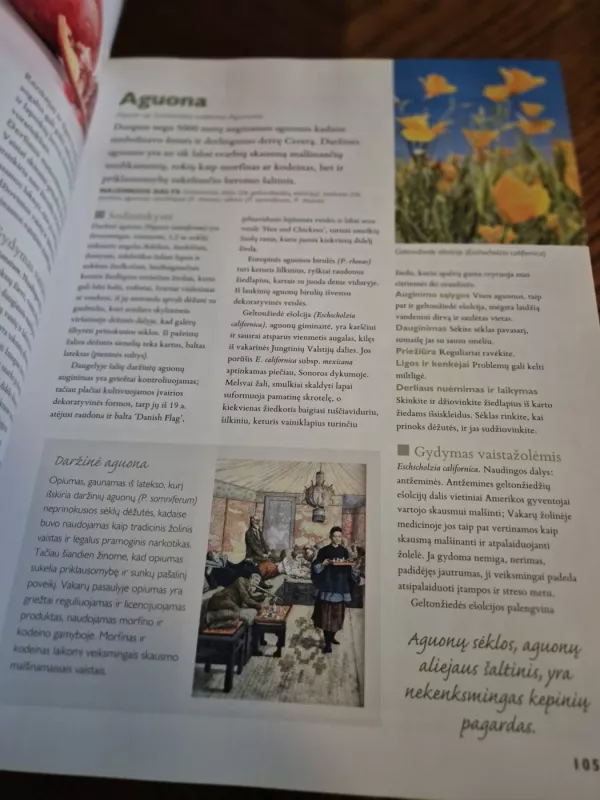 Didžioji žolelių knyga. Sodininkystė. Medicina. Grožis. Buitis. Menas. Kulinarija - Autorių Kolektyvas, knyga 5