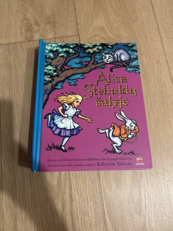 alisa stebuklu salyje - Robertas Sabuda, knyga 2