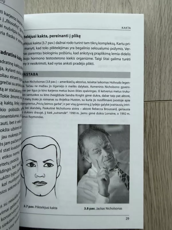 Ką slepia veidas - Teodor Švarc, knyga 4