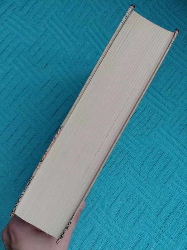 Trapi pusiausvyra - Mistry Rohinton, knyga 4