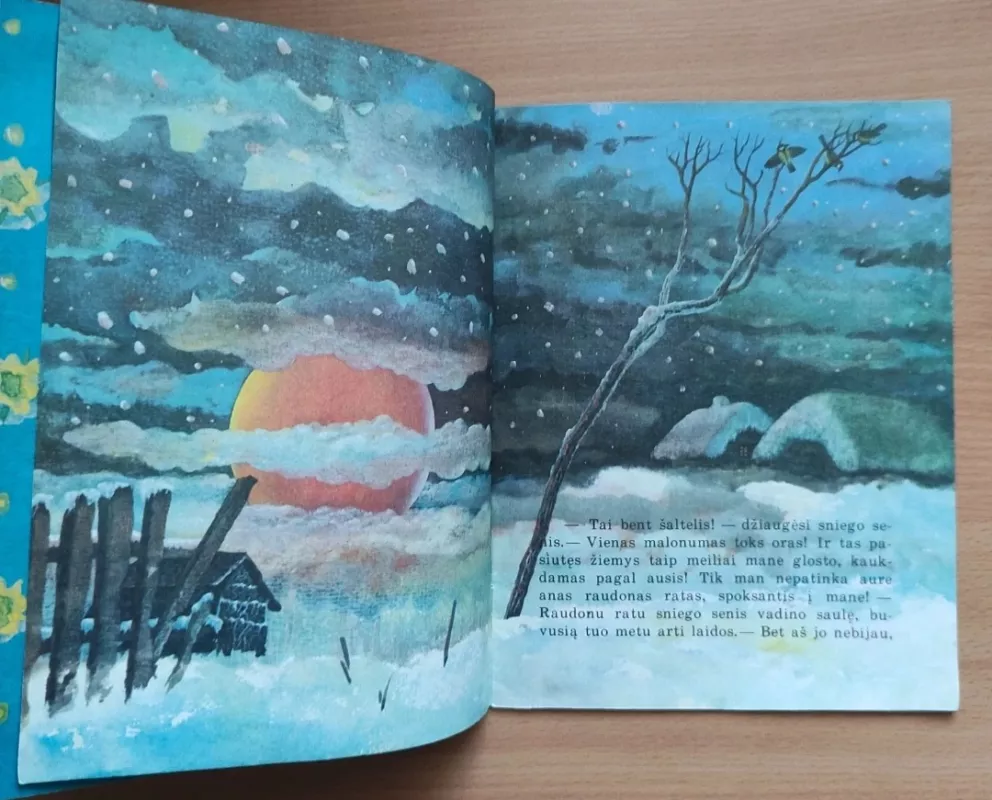 Sniego senis - Hansas Kristianas Andersenas, knyga 4