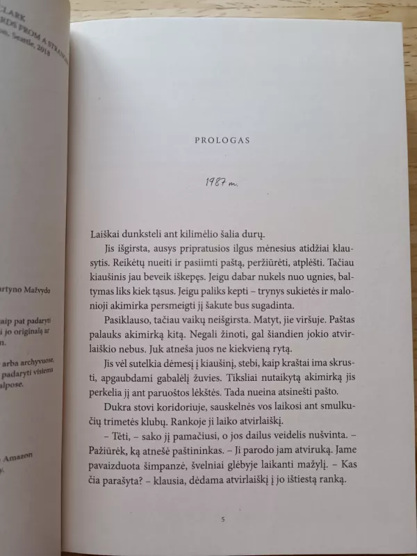 laiškai iš praeities - Imogen Clark, knyga 4
