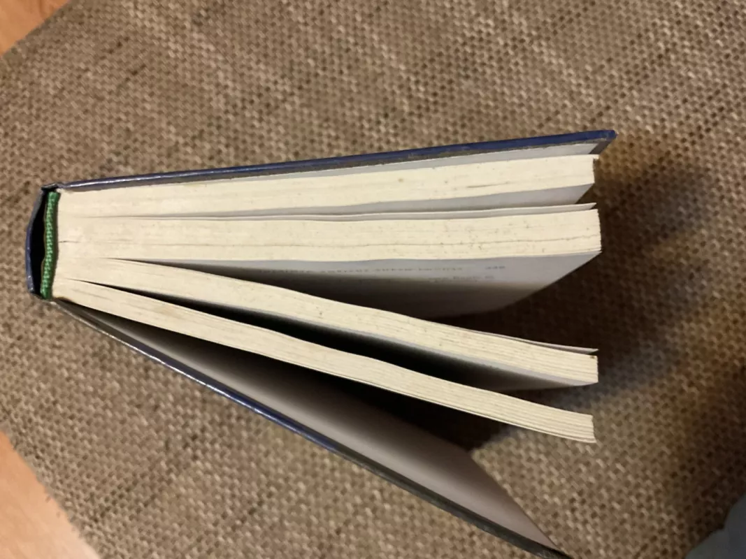 Slapta istorija - Donna Tartt, knyga 3