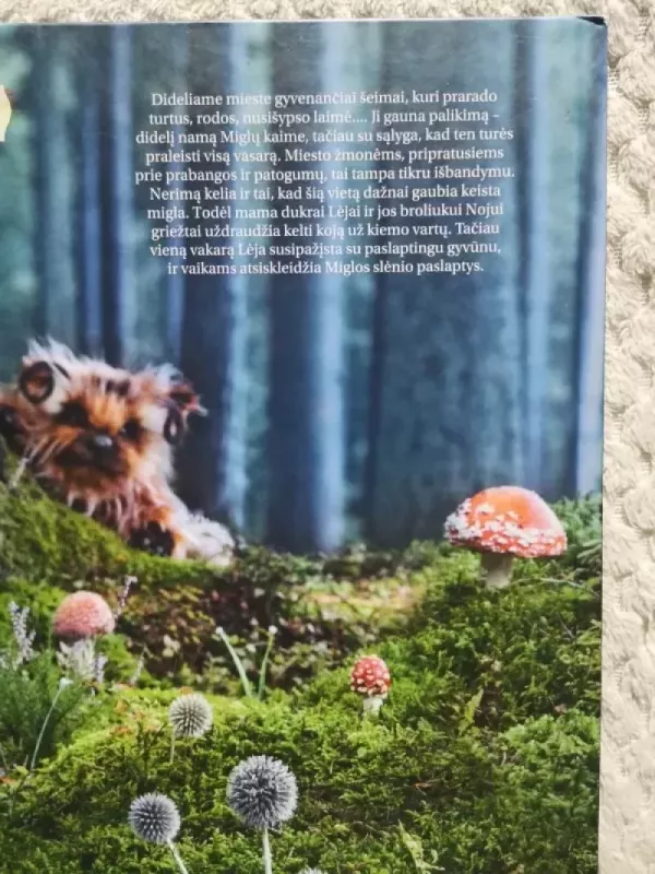 Miglų slėnio Fėjų pasakos - Edita Lei, knyga 3