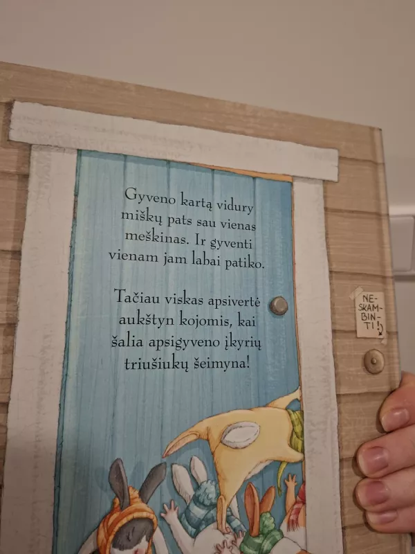 Įkyrūs triušiukai - Ciara Flood, knyga 4