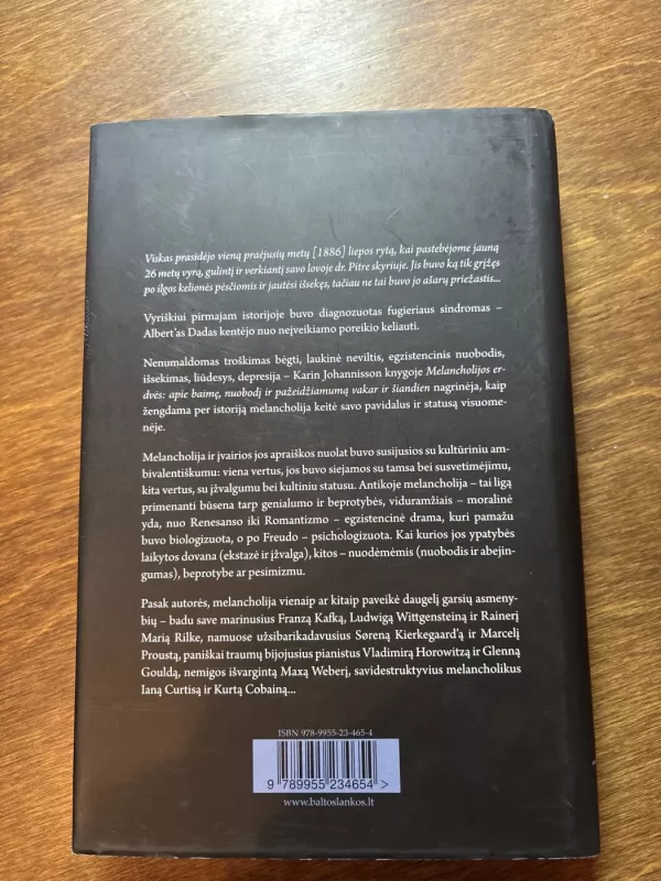 Melancholijos erdvės - Karin Johannisson, knyga 3