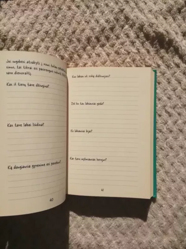 Prietrankos dienoraštis - Rachel Renée Russell, knyga 6