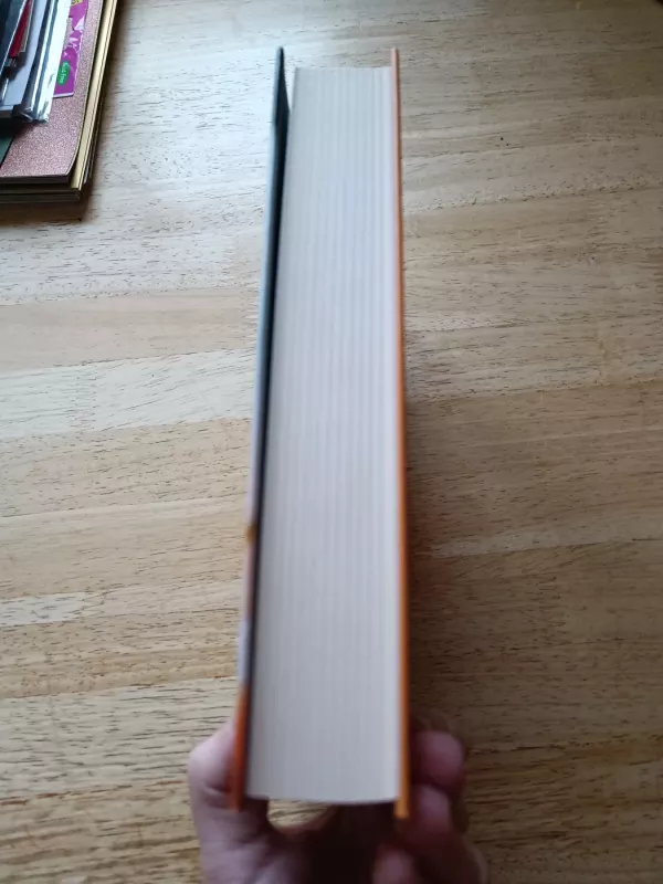 laiškai iš praeities - Imogen Clark, knyga 5