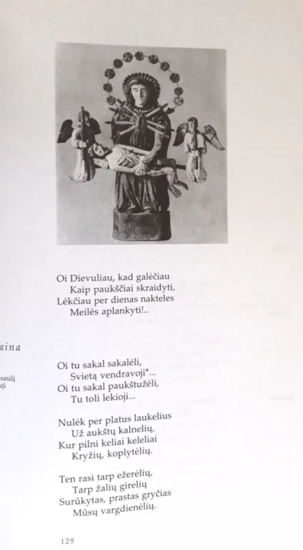 Lietuvių literatūros skaitiniai, aukštesniųjų klasių mokiniams - Autorių kolekyvas, knyga 4